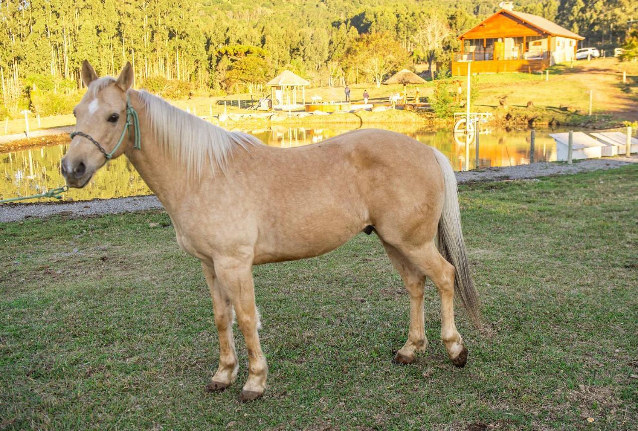 Bangalos Refugio Do Vale Santa Maria do Erval 外观 照片